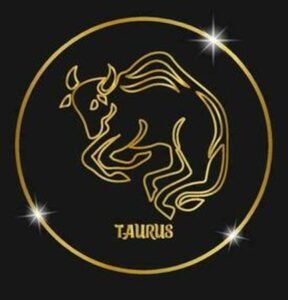 02 TAURO