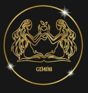03 GEMINIS